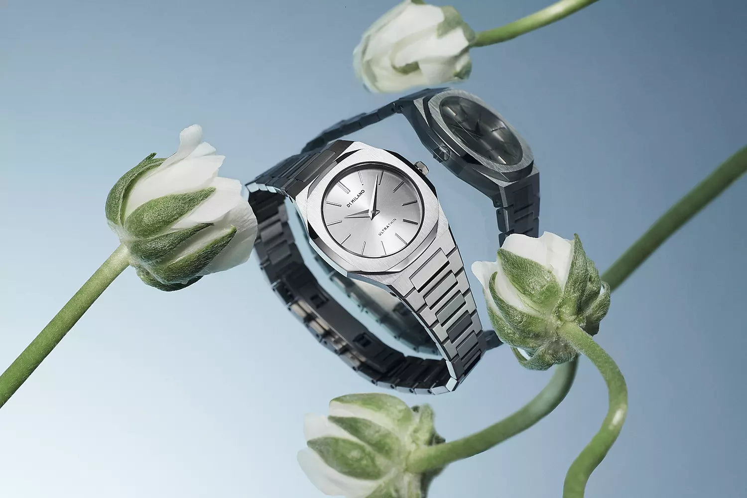 Orologio D1 Milano Modello ZEPHYR SILVER