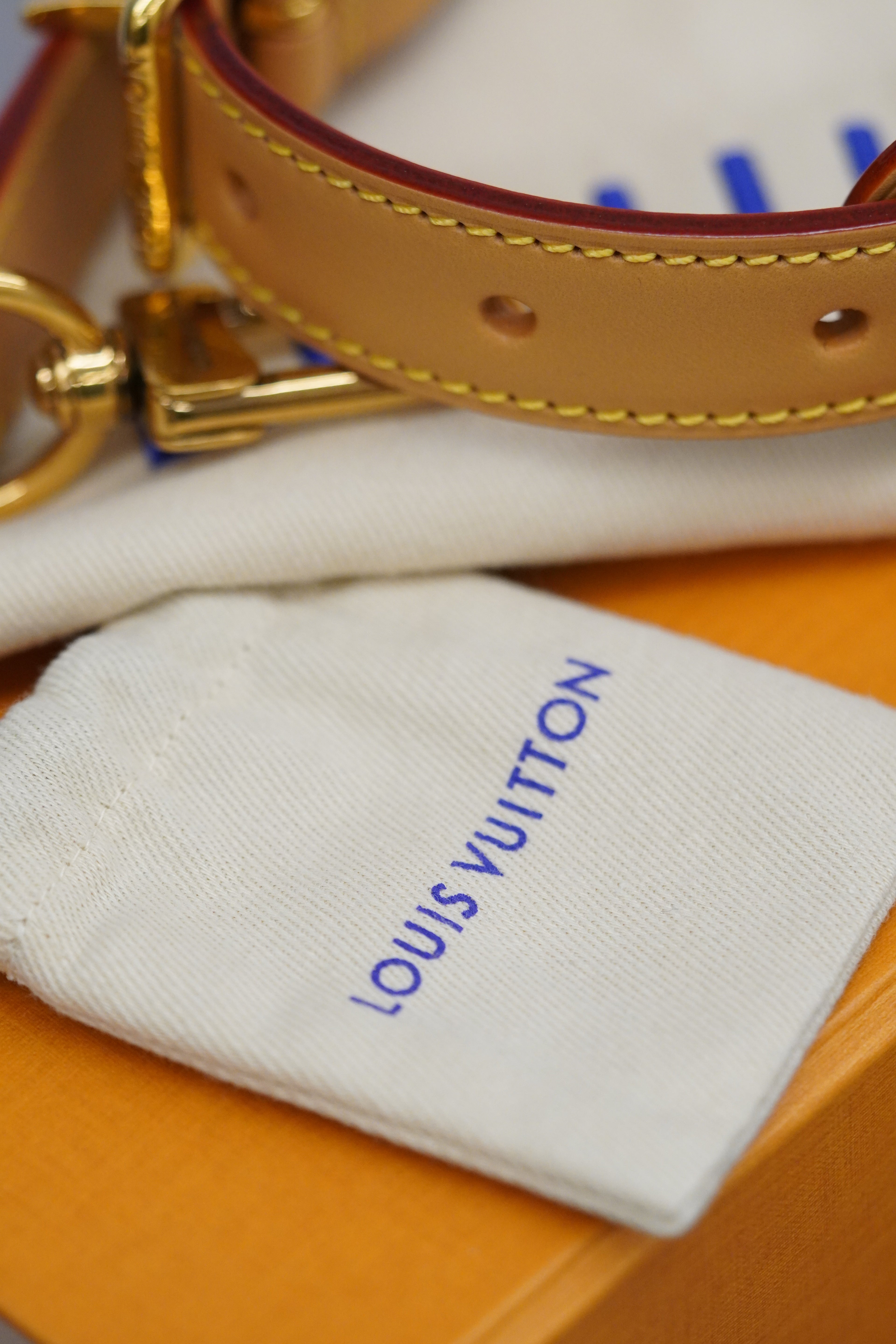 Louis Vuitton Speedy P9 Bandoulière 25 Purple