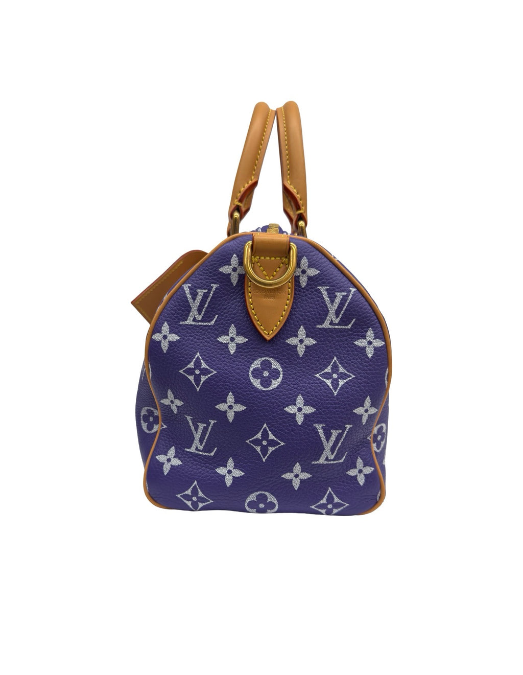 Louis Vuitton Speedy P9 Bandoulière 25 Purple